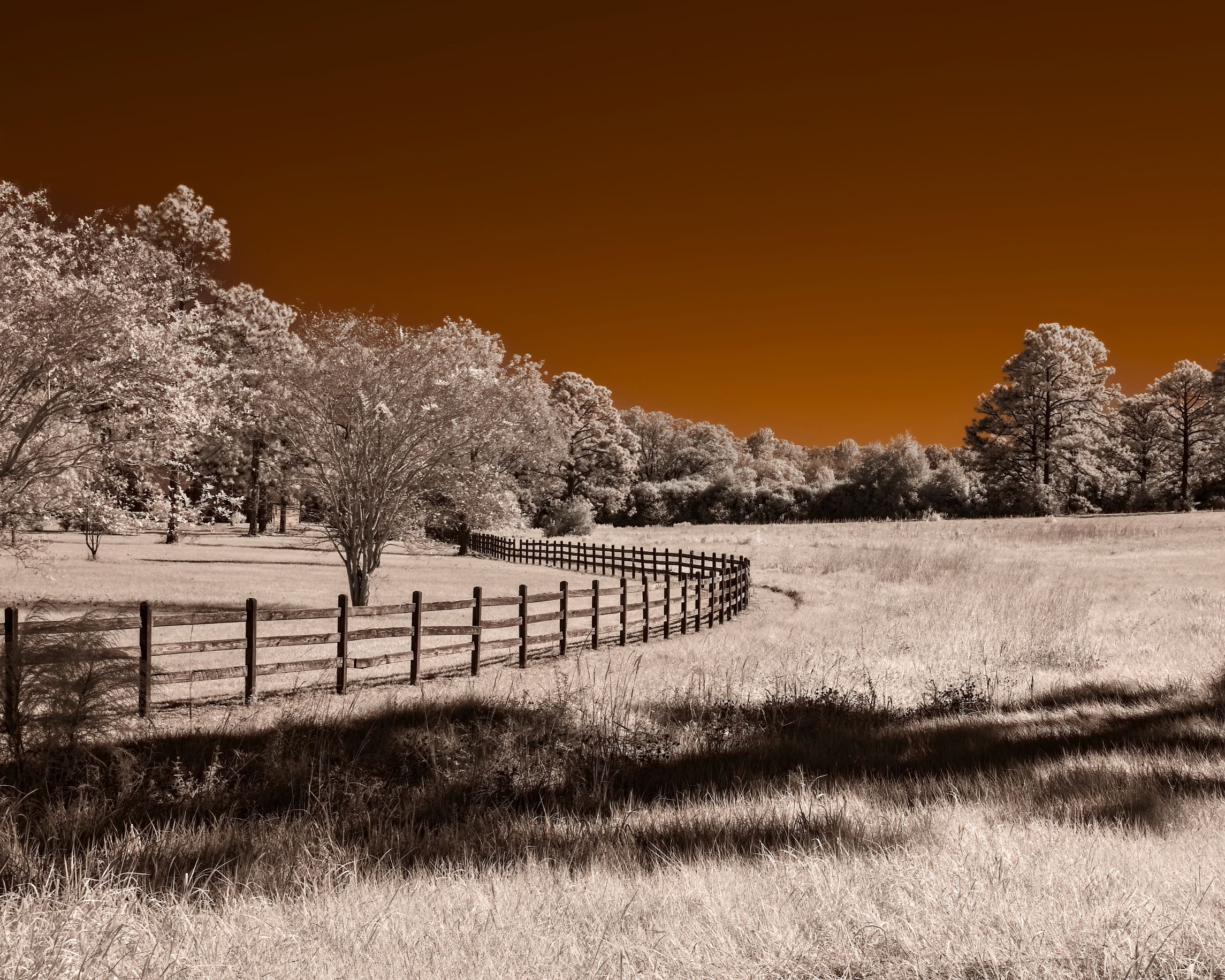 9.30.22 Infrared Ranch Timber Fence 3865 5 4 18.25 x 14.60 reduced file size a275cdc6 ee17 4e12 95e9 f1b62740569f